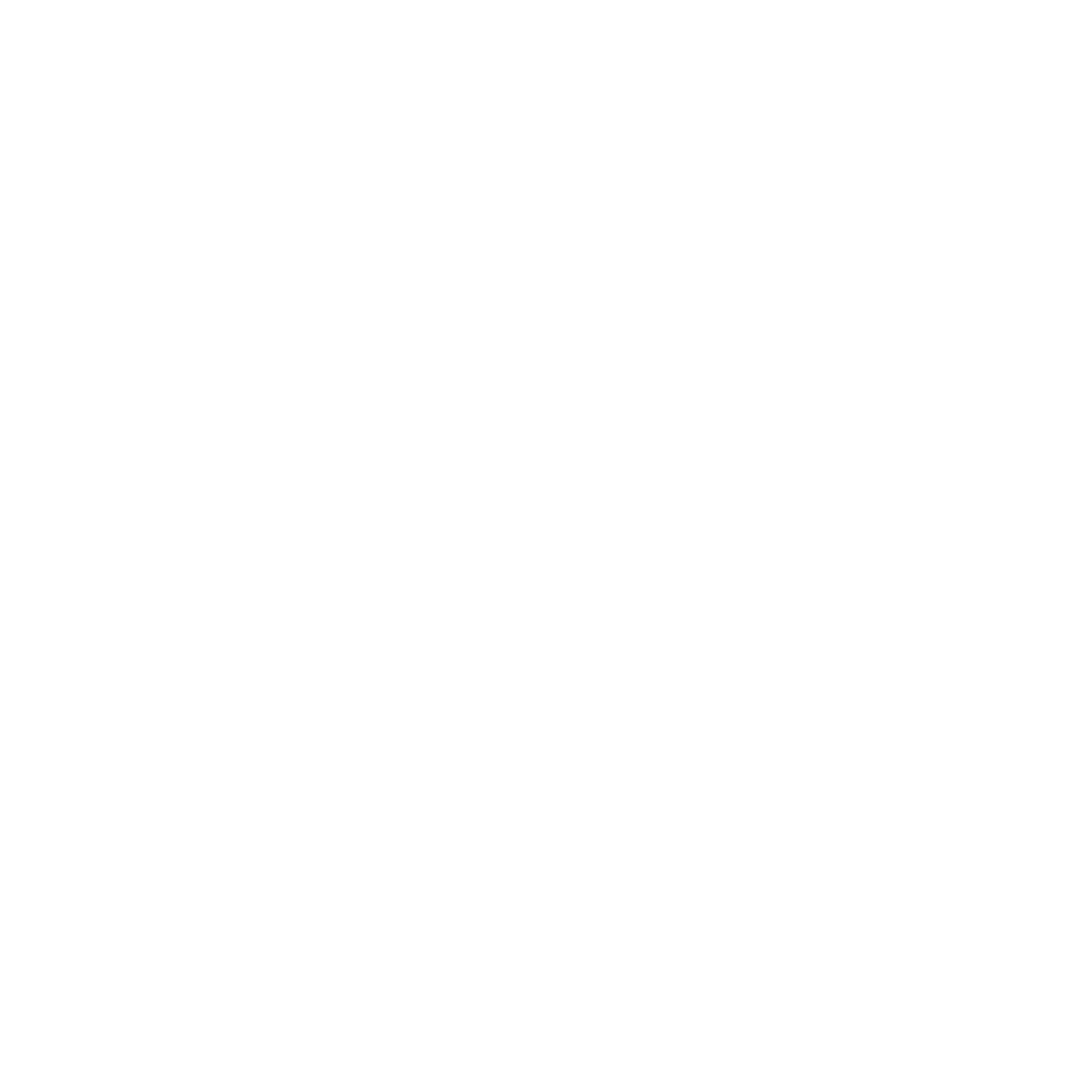 MEGA S eagle seal: Transferring value. Empowering opportunities